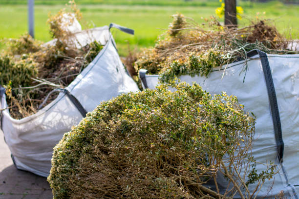 Best Affordable Junk Removal Services  in Belvedere, SC